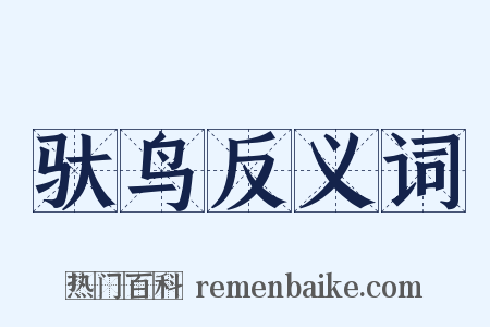 驮鸟反义词是什么意思的图片